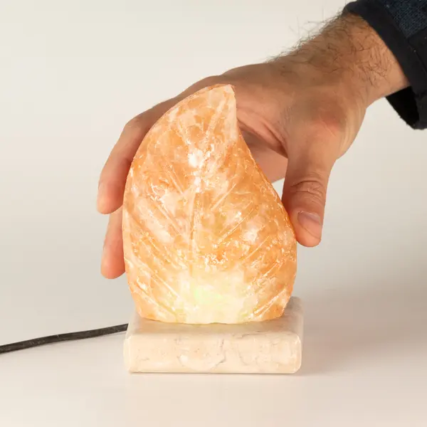 USB leaf Shaped (Multi)