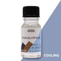 10ml Eucalyptus Fragrance Oil