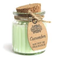 Cucumber Soy Pot of Fragrance Candles