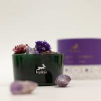 Hop Hare Diffusing Crystals & Floral Set - The Moon