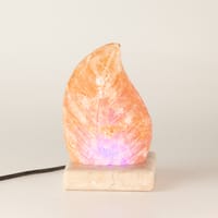 USB leaf Shaped (Multi)